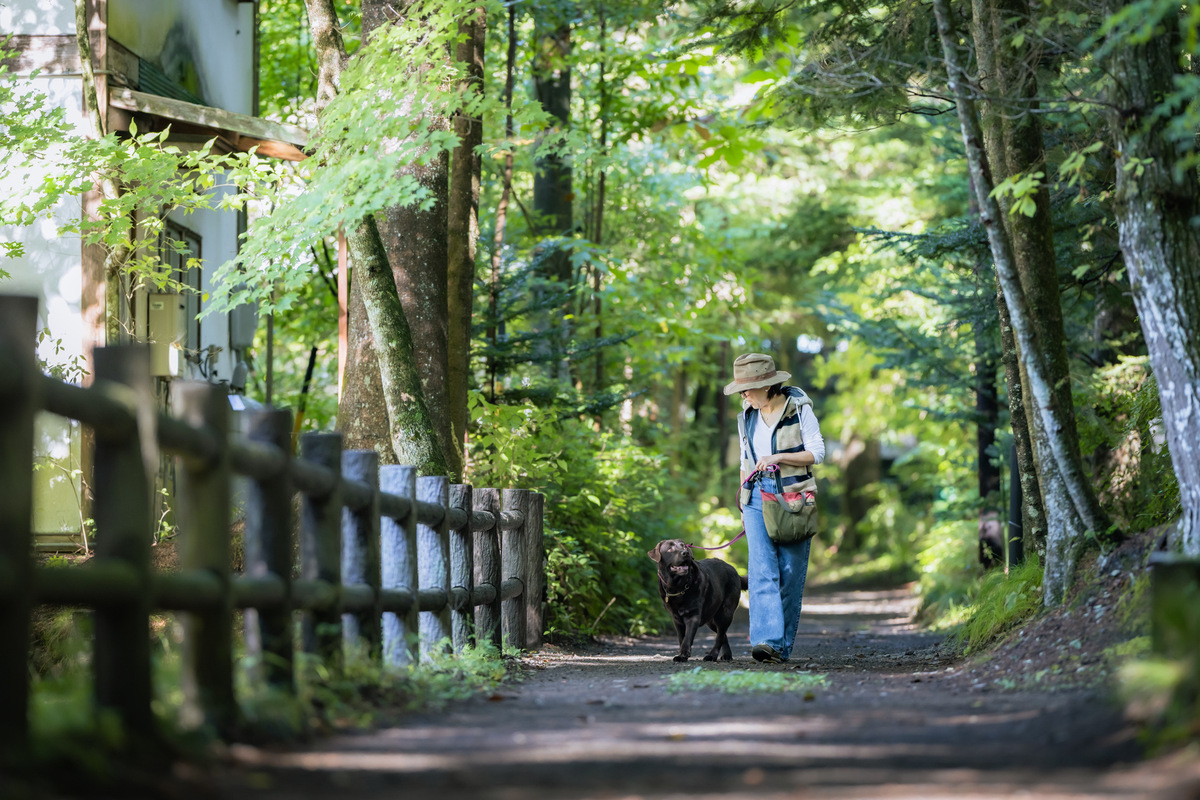 家庭を築くとは？幸せな家庭を実現するための考え方と結婚相手の選び方 - 【業界最大級】結婚相談所・婚活するならツヴァイ  ZWEI｜成婚数No.1婚活するなら結婚相談所のツヴァイ(ZWEI), image size:1200x800