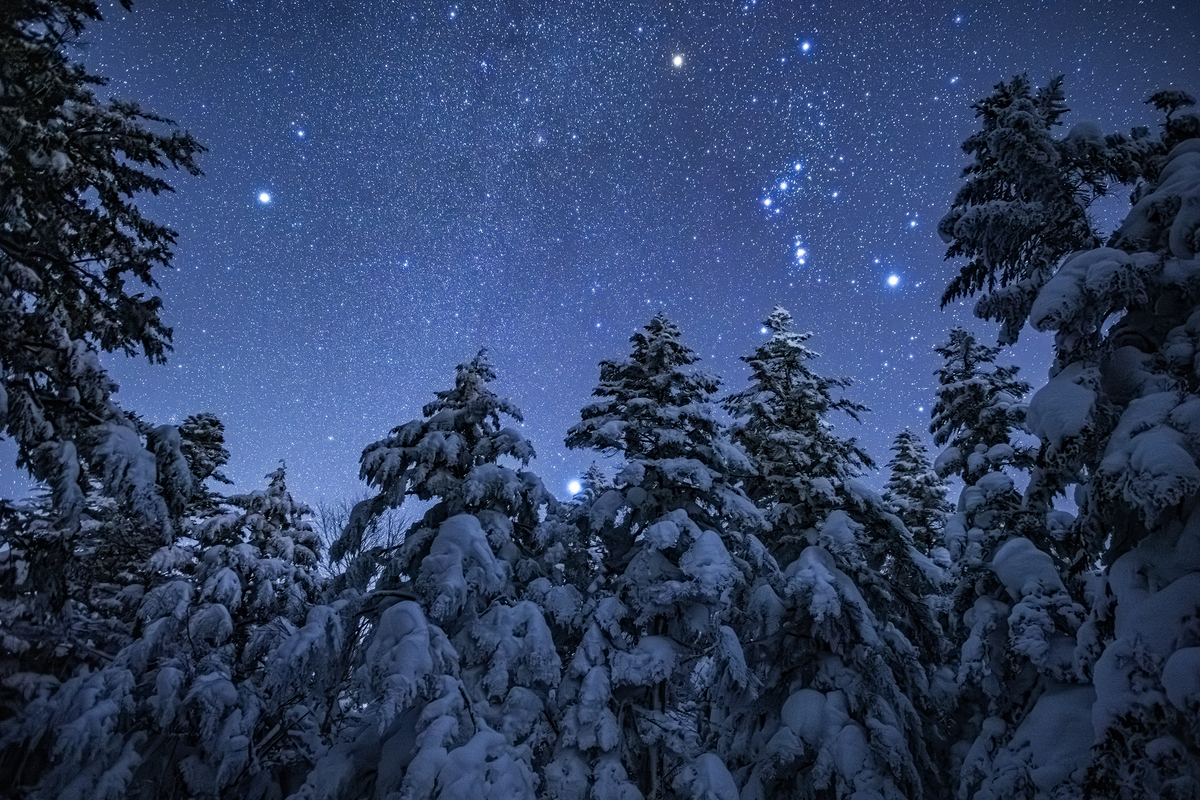 SNOW（雪） と SORA（宙） が出会う場所 —— 長野の「天」と「地」の 